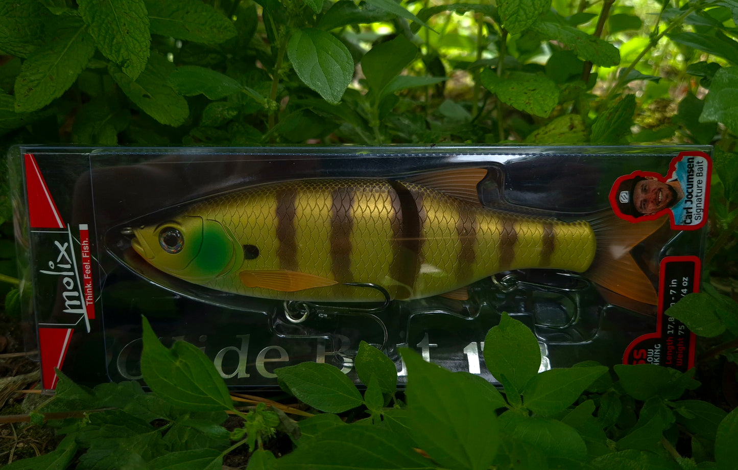 Molix Glide Bait 178 Slow Sinking