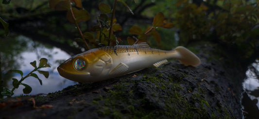 RT Shad 7'' - Lot de 2
