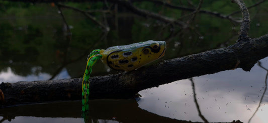 Molix Pop Frog