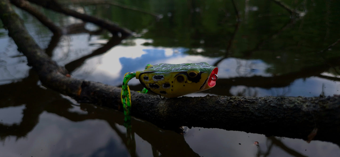 Molix Pop Frog