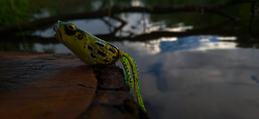 Molix Pop Frog
