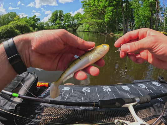 RT Shad 7'' - Lot de 2